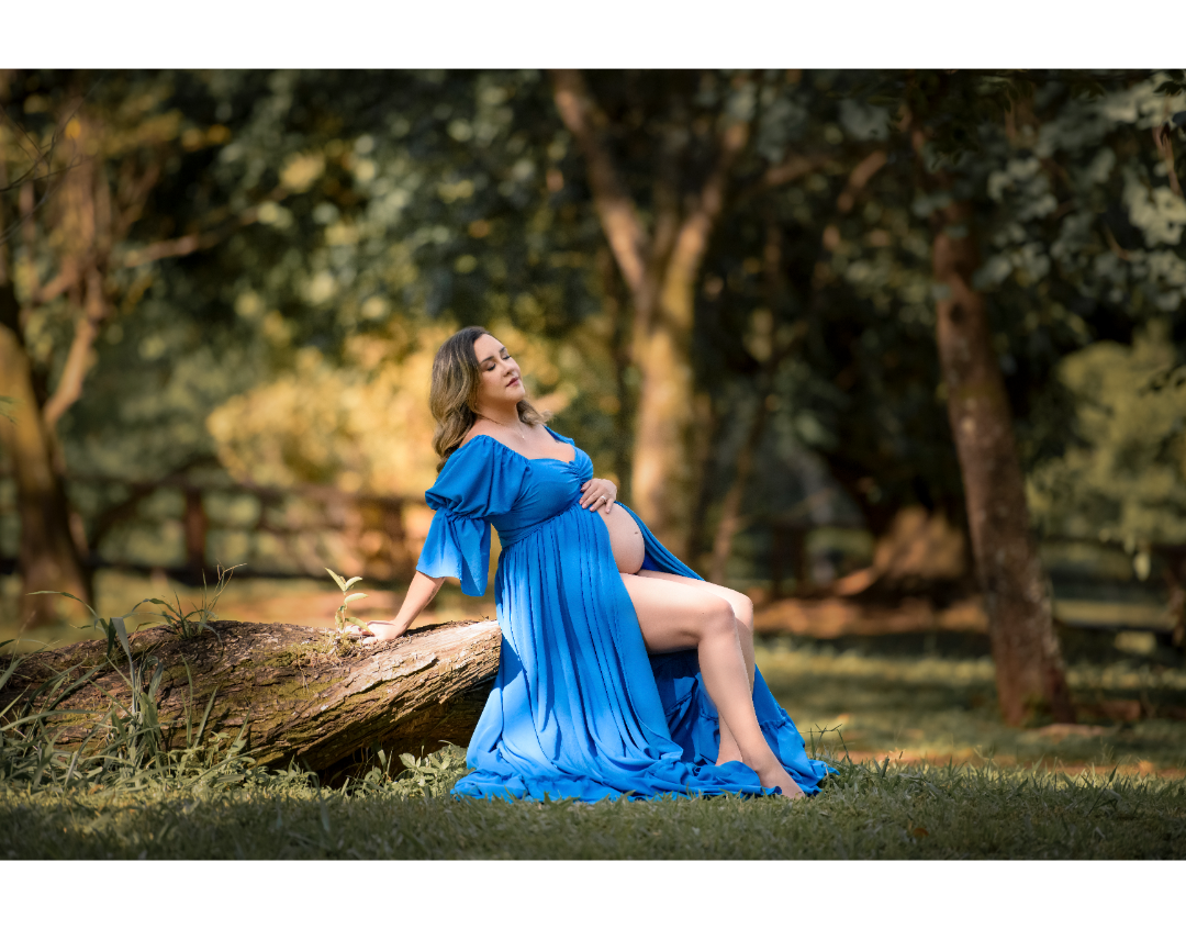 Ensaio Gestante Externa: Eneida